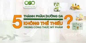 Trang chủ 75 5 thanh phan duong da khong the thieu trong my pham