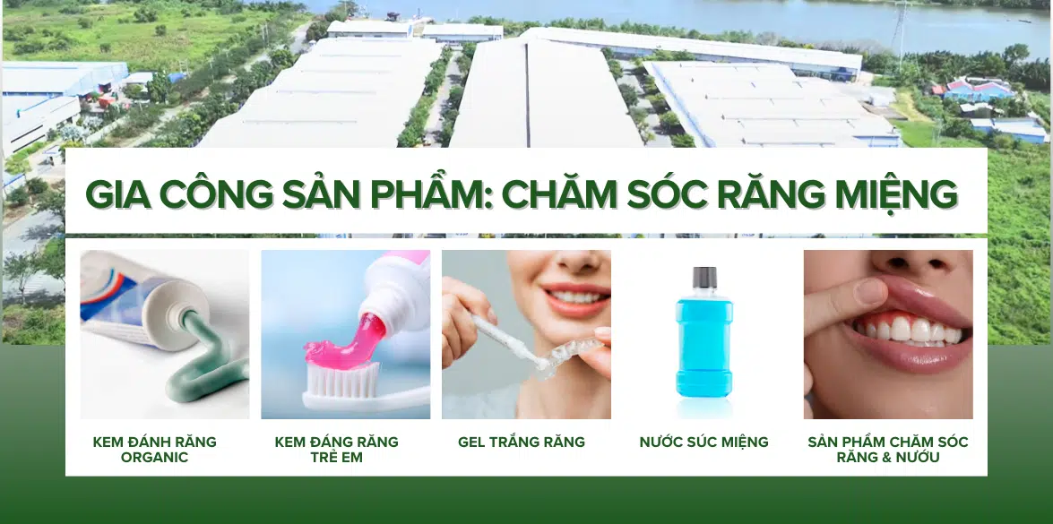 Cac dong san pham pho bien trong gia cong cham soc rang mieng