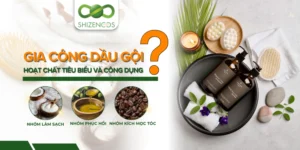 Trang chủ 65 Cac hoat chat tieu bieu trong gia cong dau goi