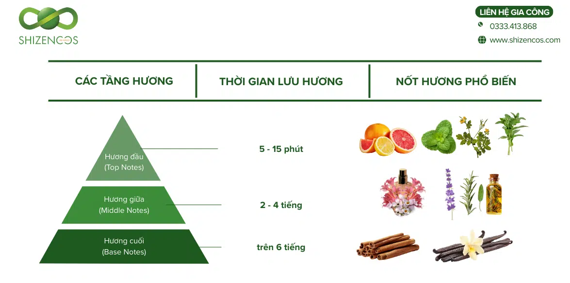 Tìm Hiểu Cấu Trúc 3 Tầng Hương Trong Pha Chế Nước Hoa 1 Tầng hương trong nước hoa là gì